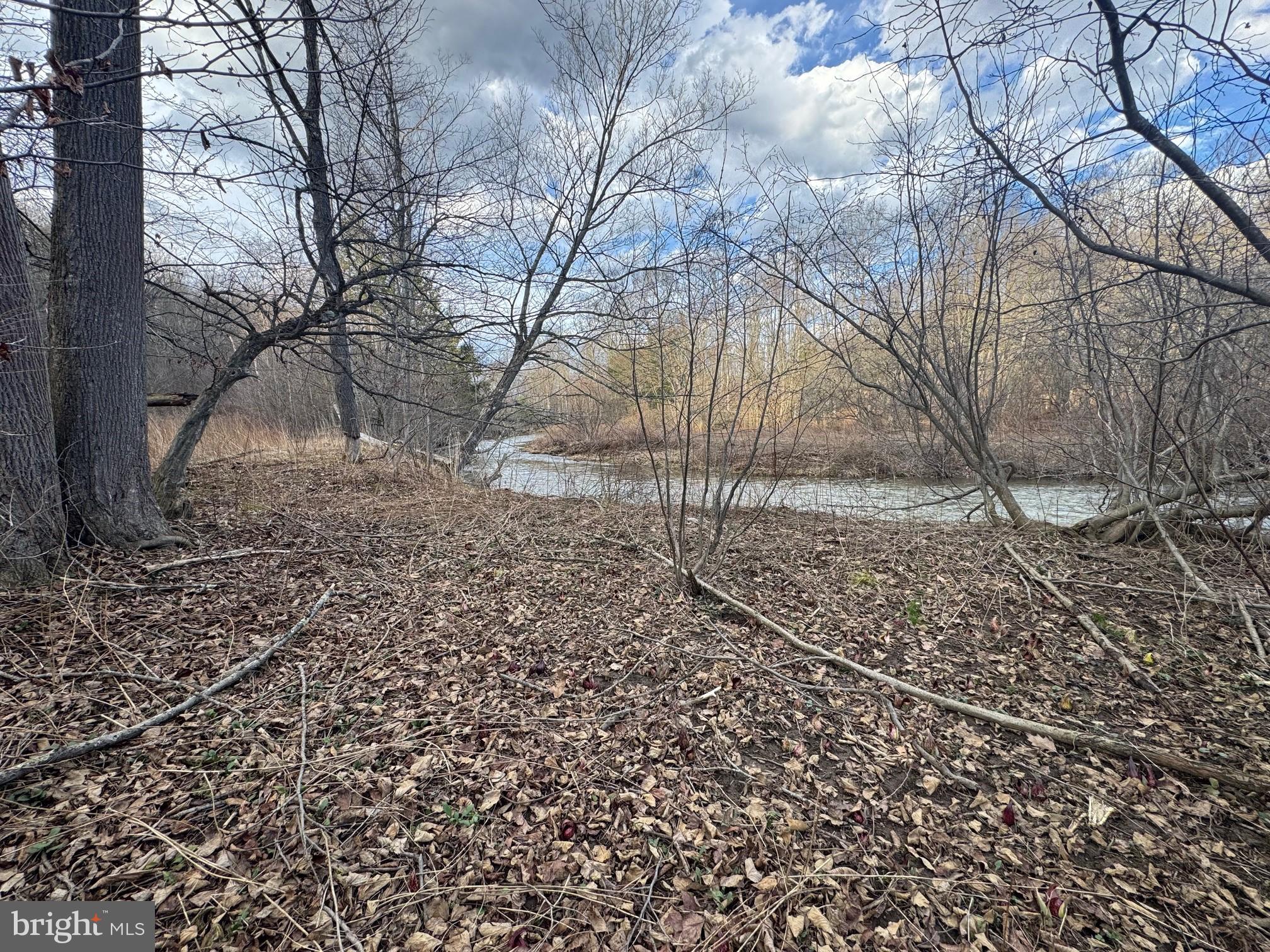Jennings Road Grantsville, MD 21536 - Photo 26 of 39 a backyard of a house with lots of green space