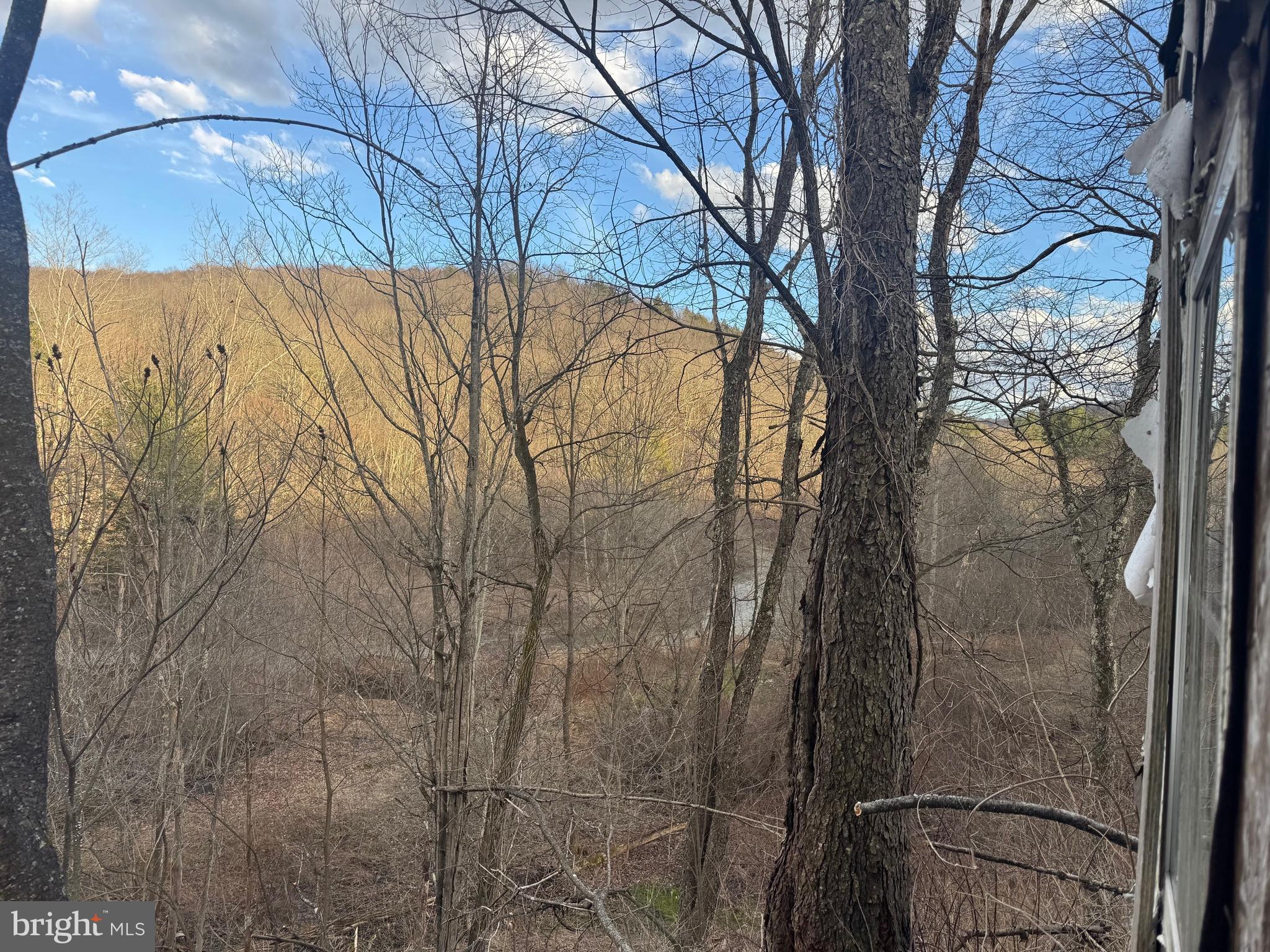 Jennings Road Grantsville, MD 21536 - Photo 27 of 39 a backyard of a house