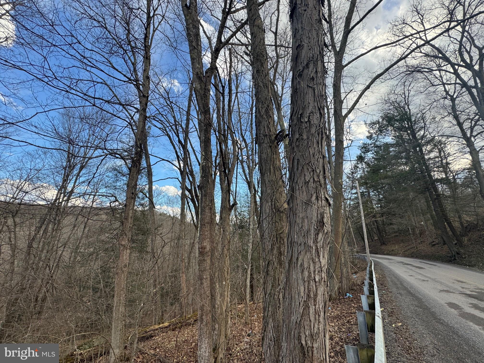 Jennings Road Grantsville, MD 21536 - Photo 28 of 39 a view of a backyard of the house