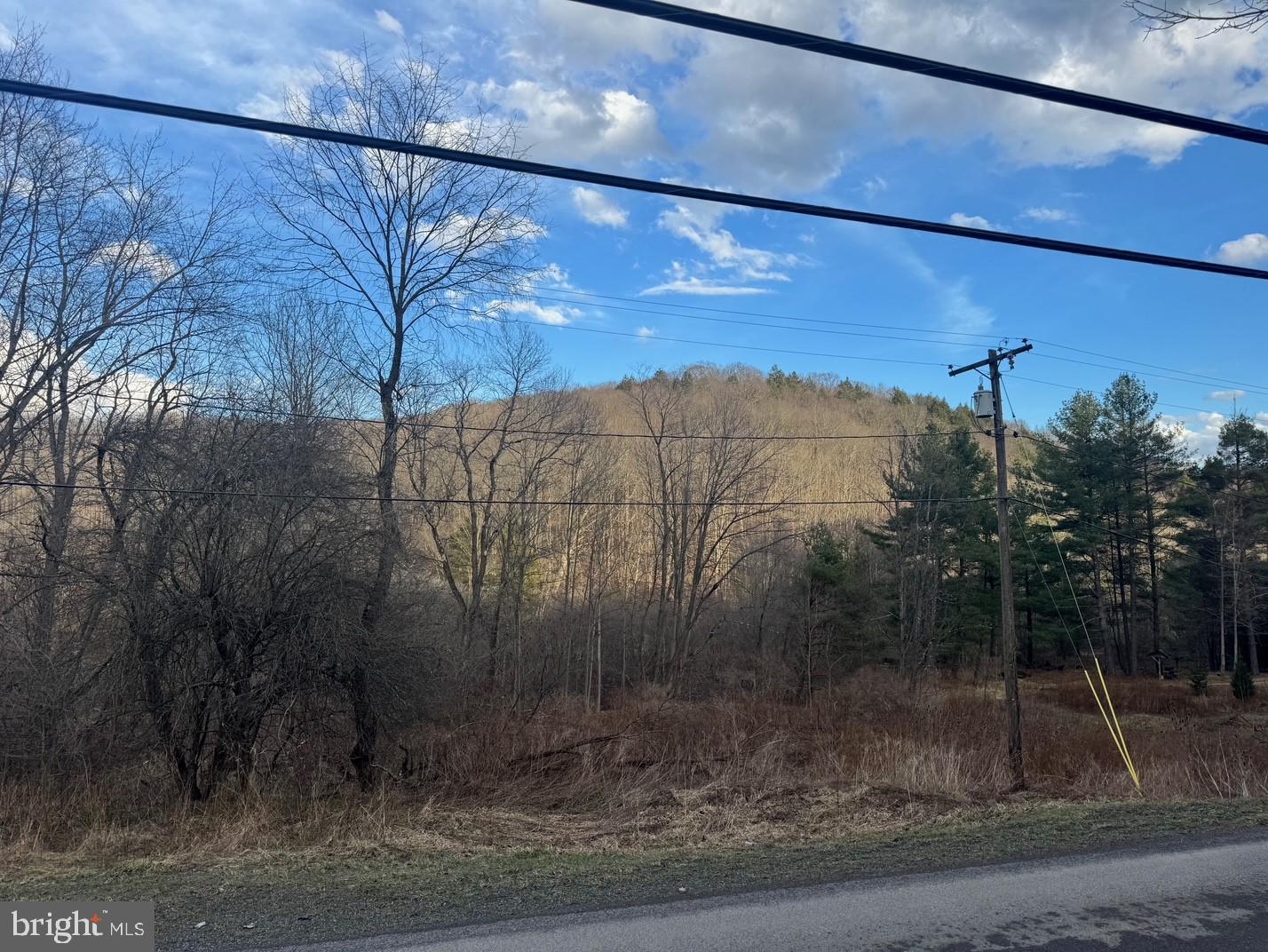 Jennings Road Grantsville, MD 21536 - Photo 30 of 39 a view of a yard from a window
