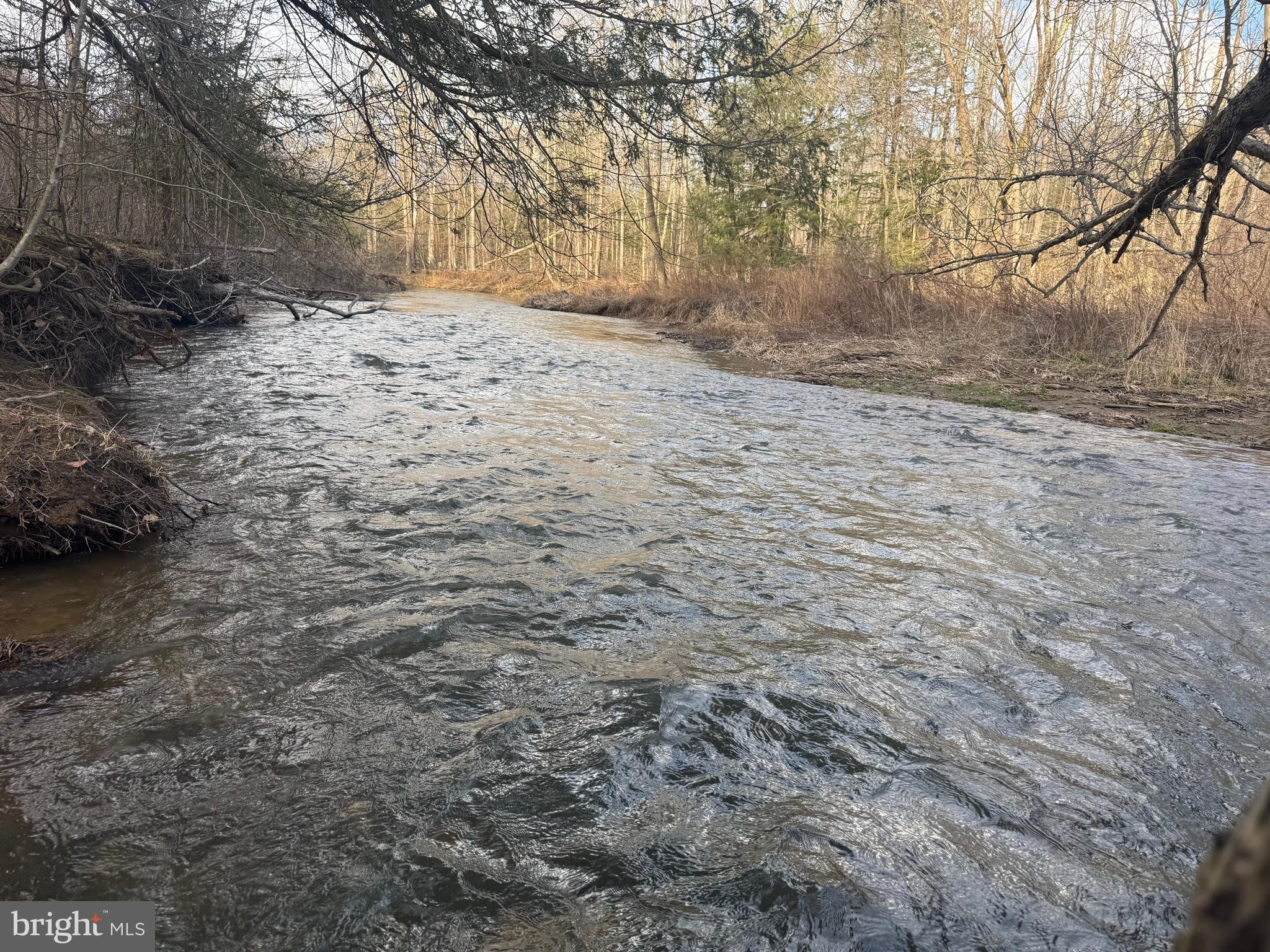 Jennings Road Grantsville, MD 21536 - Photo 3 of 39 a view of a yard with a tree