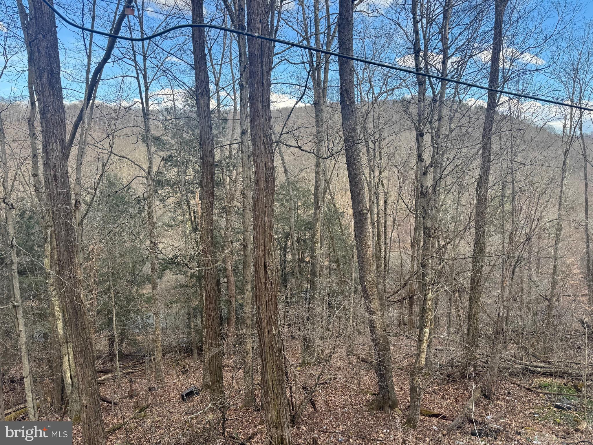 Jennings Road Grantsville, MD 21536 - Photo 32 of 39