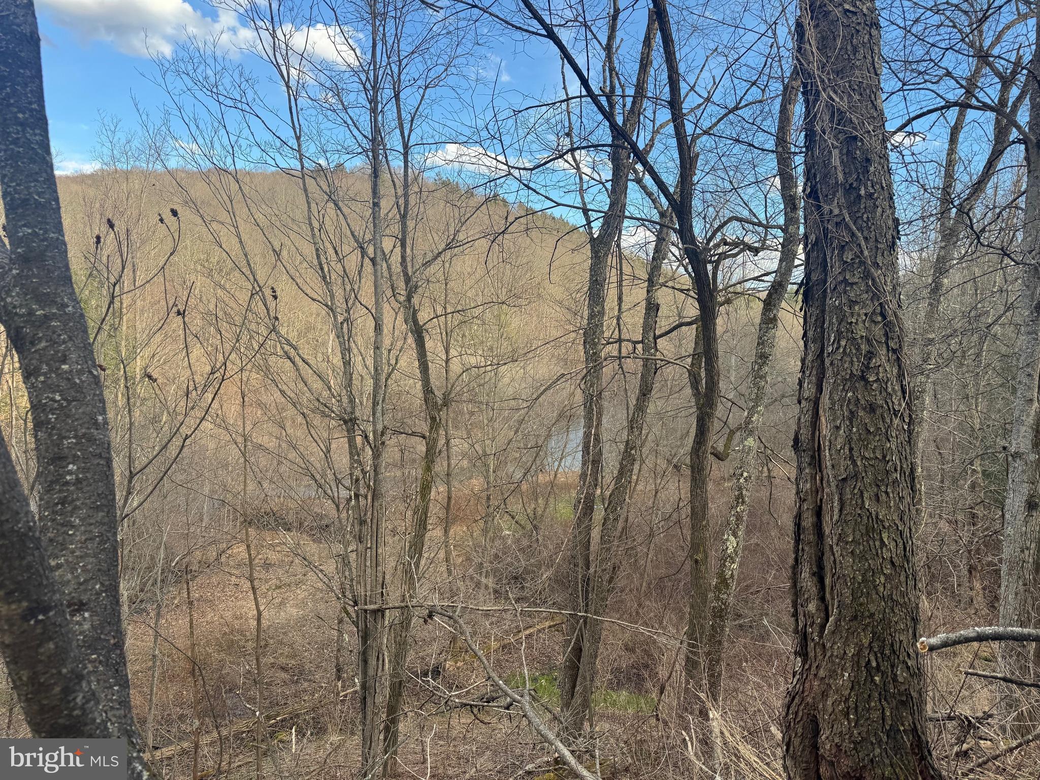 Jennings Road Grantsville, MD 21536 - Photo 33 of 39 a backyard of a house with lots of green space