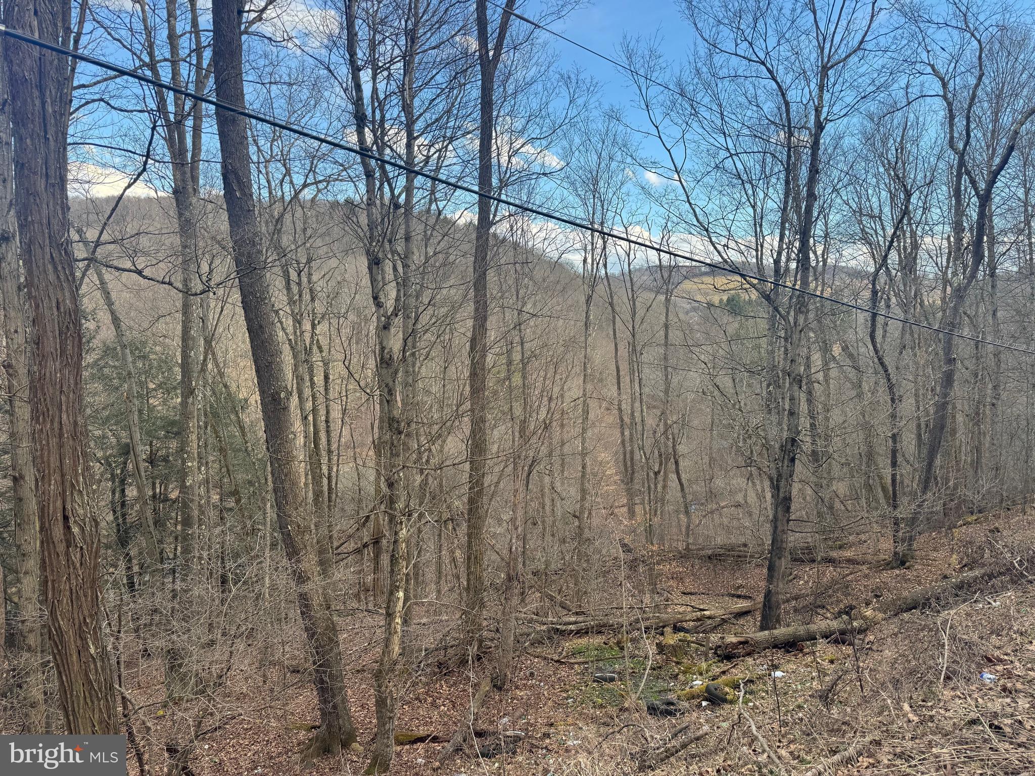 Jennings Road Grantsville, MD 21536 - Photo 34 of 39 a view of backyard with trees