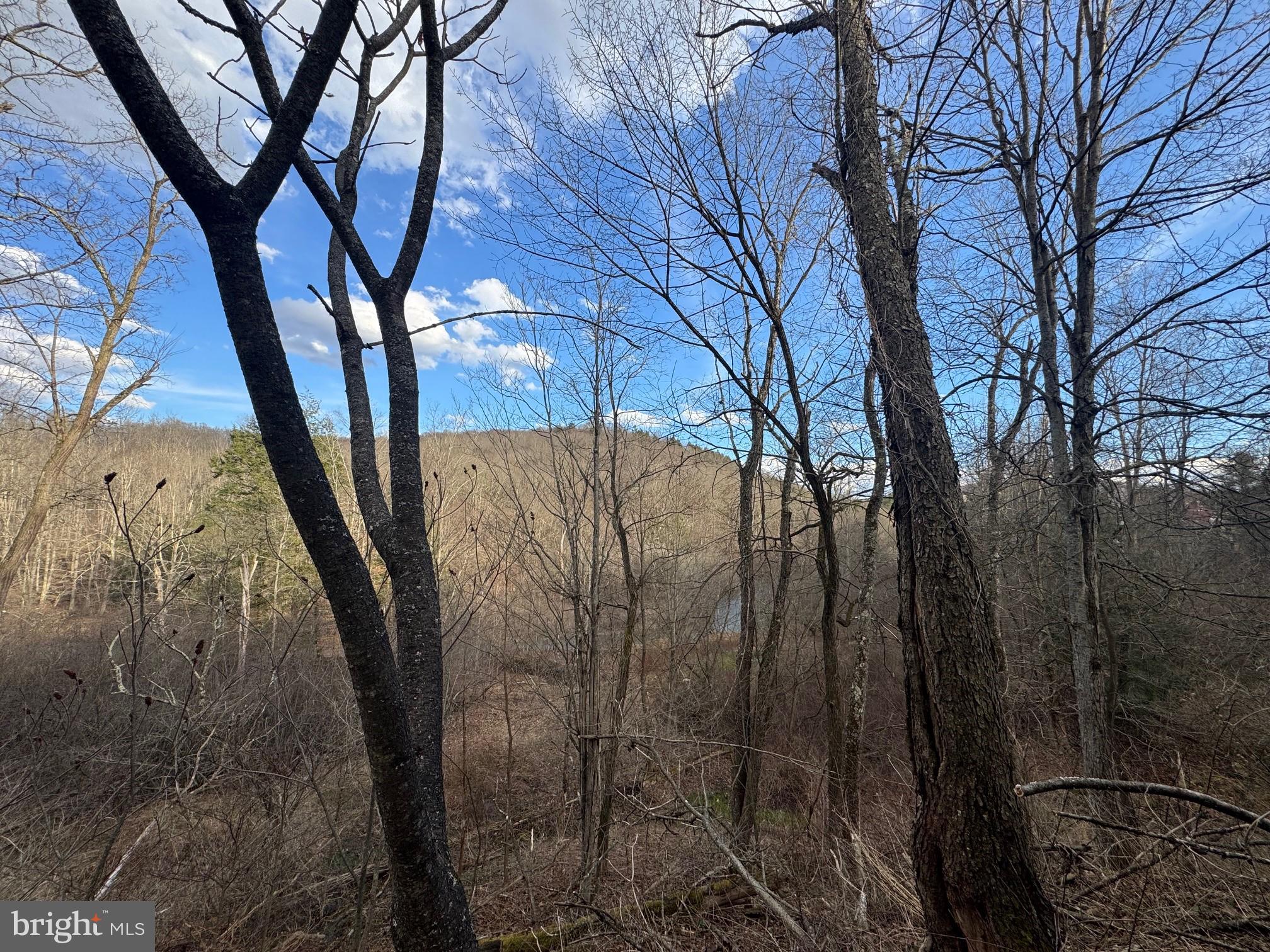 Jennings Road Grantsville, MD 21536 - Photo 36 of 39 a view of a yard
