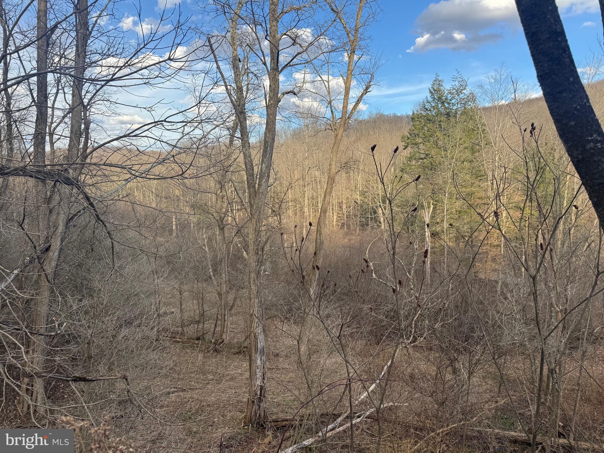 Jennings Road Grantsville, MD 21536 - Photo 37 of 39 a view of a yard of the house