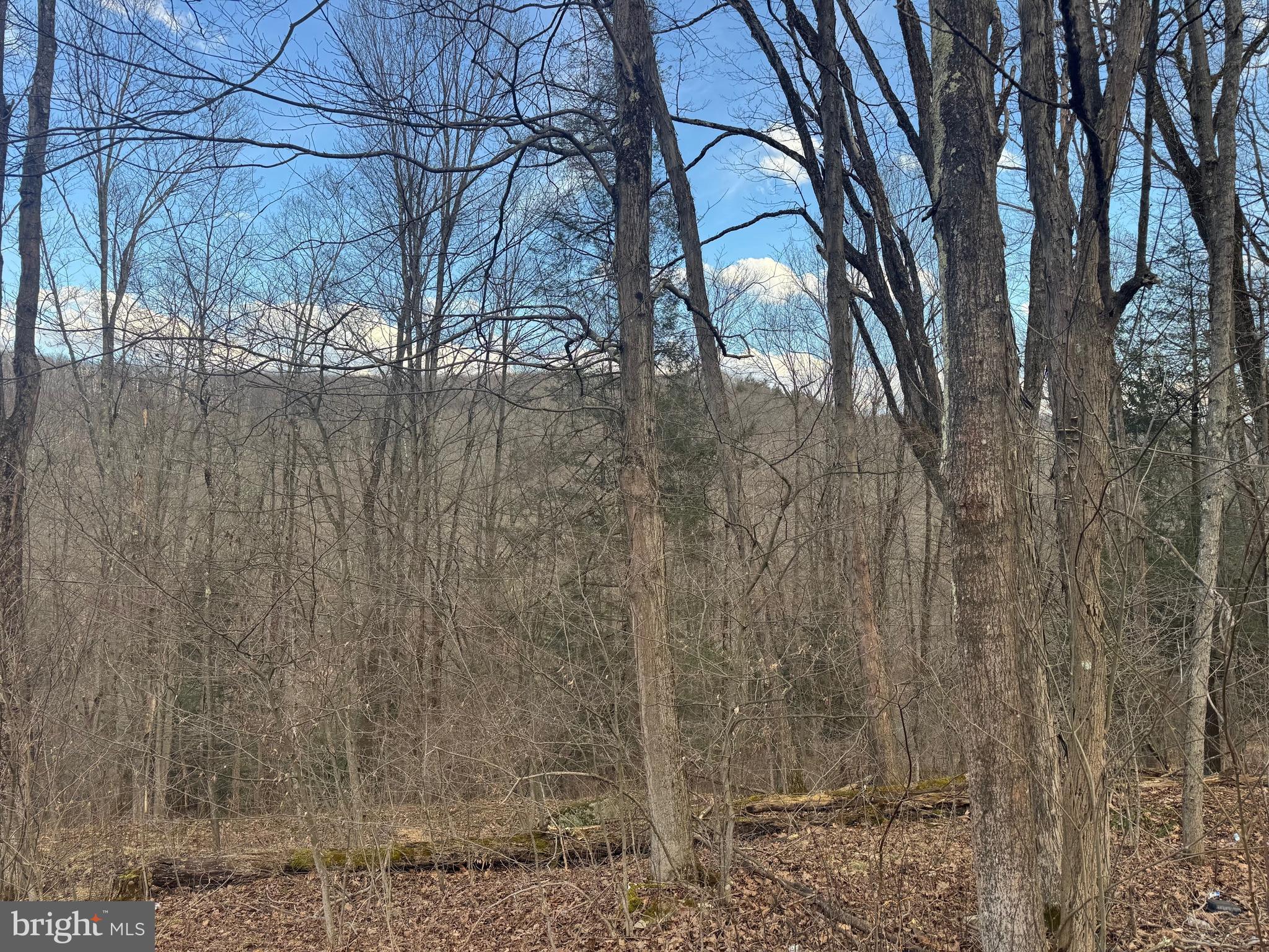 Jennings Road Grantsville, MD 21536 - Photo 4 of 39 a backyard of a house with lots of green space