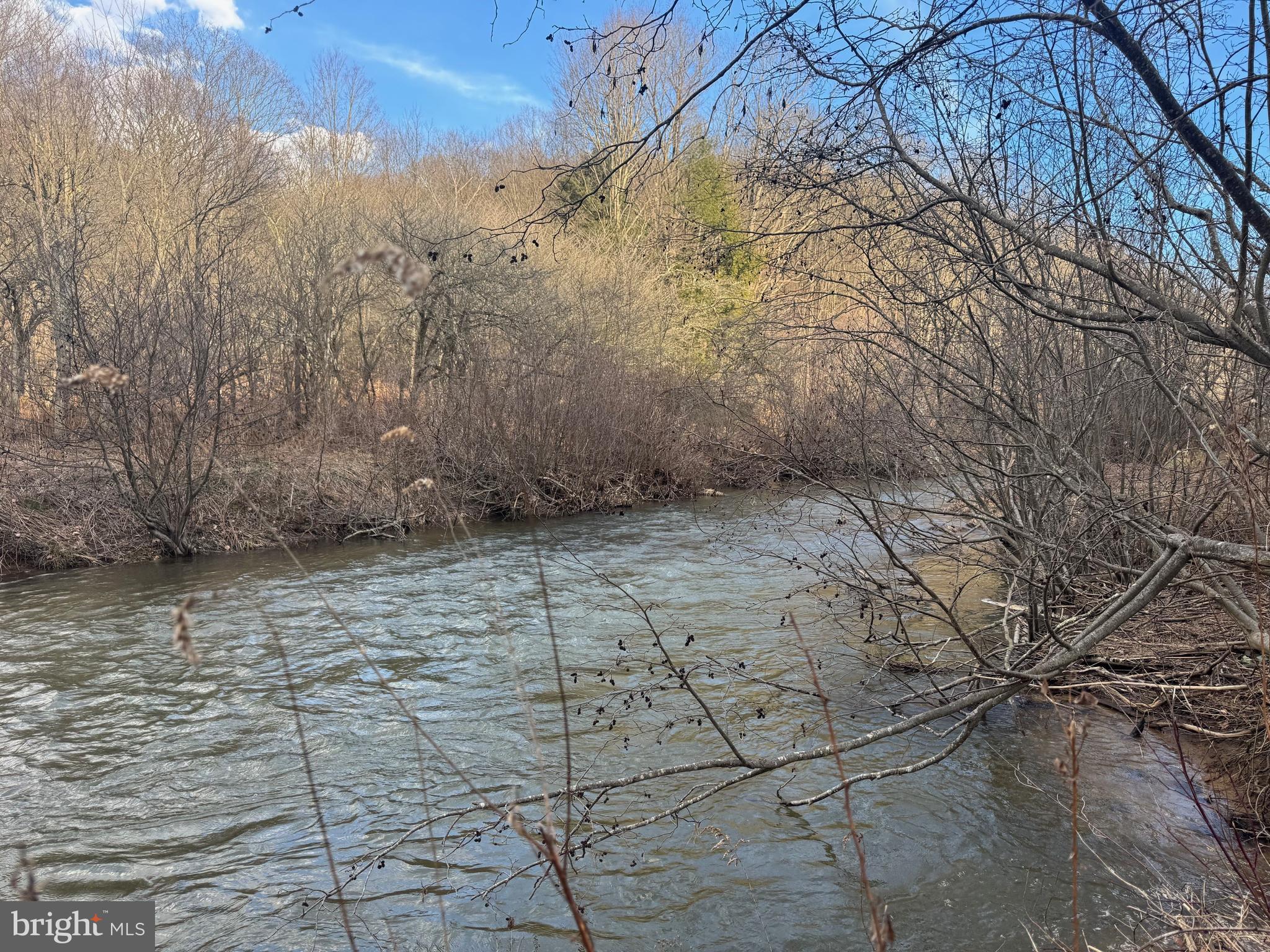 Jennings Road Grantsville, MD 21536 - Photo 8 of 39