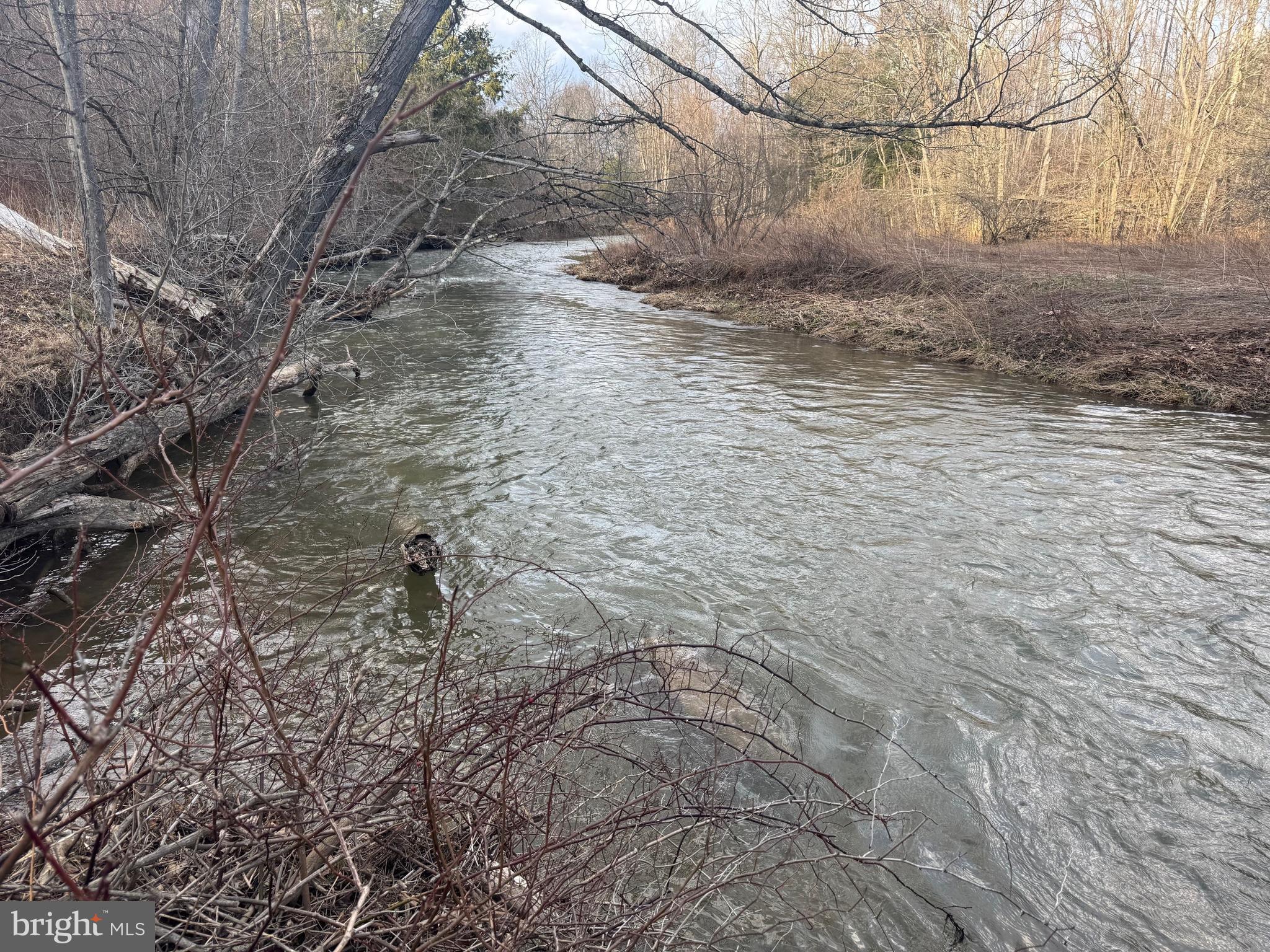 Jennings Road Grantsville, MD 21536 - Photo 9 of 39 a view of a yard of the house