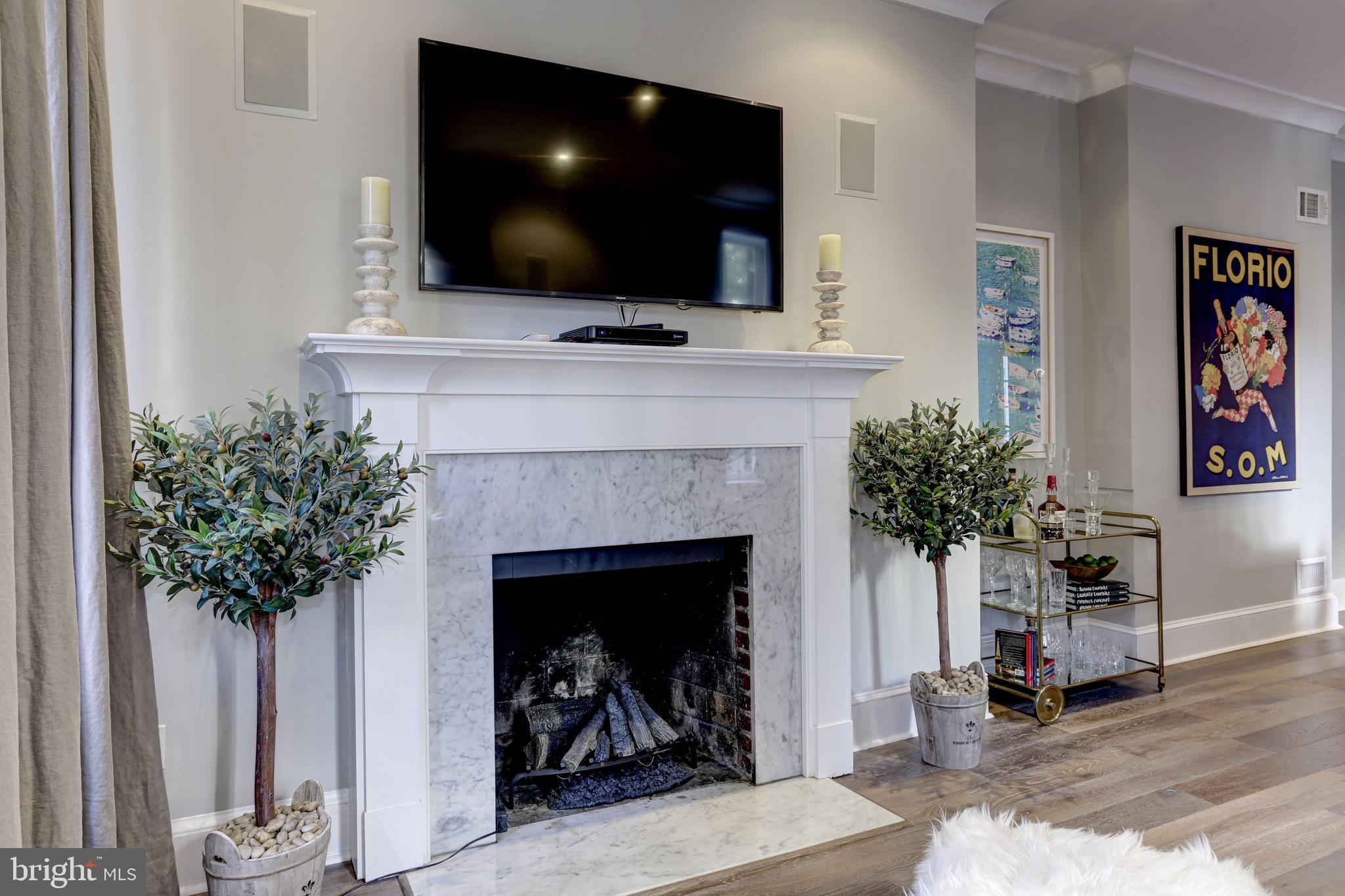 1237 29th Street Northwest Washington, DC 20007 - Photo 4 of 15 Wood burning Fireplace