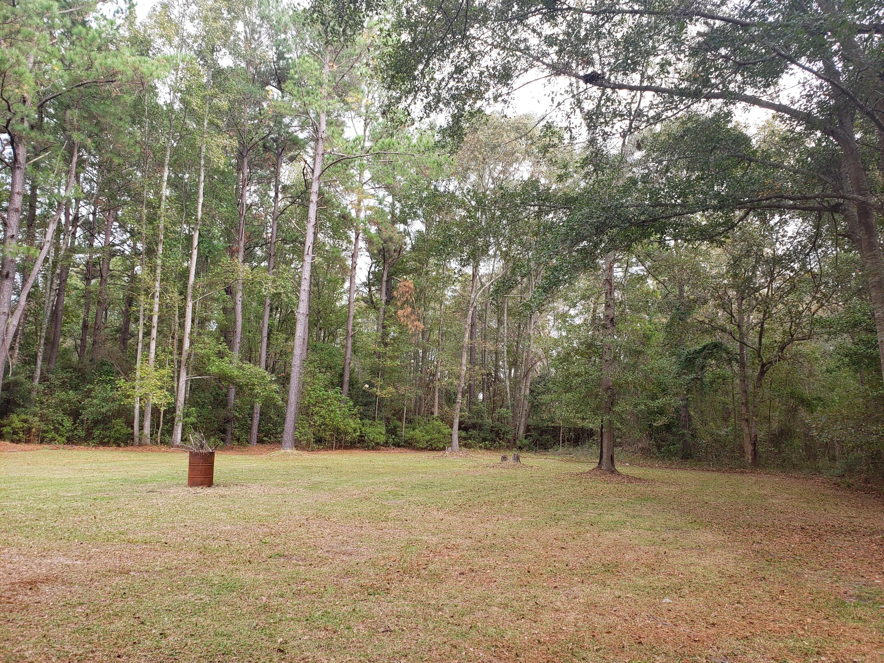 3308 Burlington Road Walterboro, SC 29488 - Photo 12 of 15 Ethan4