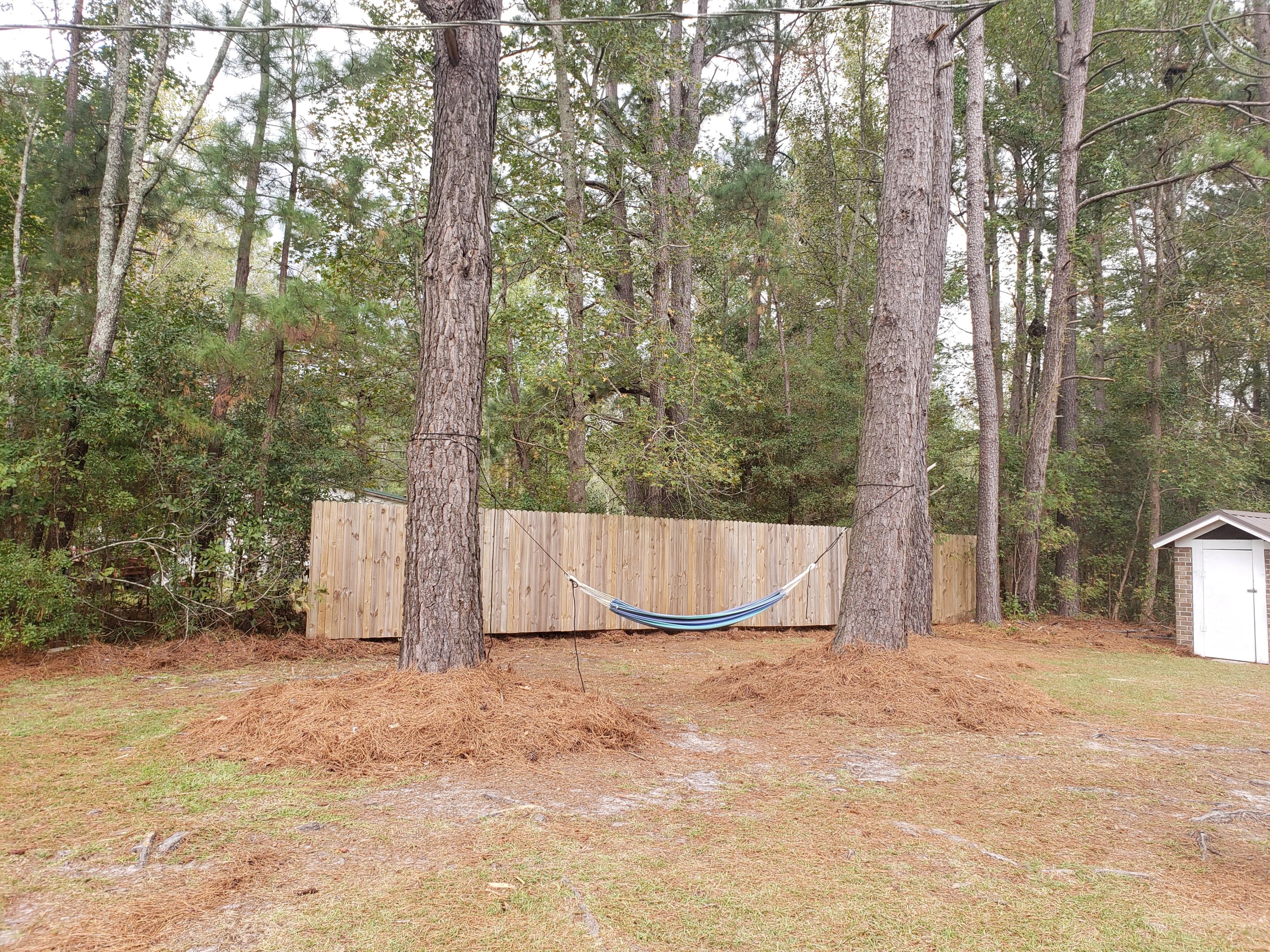 3308 Burlington Road Walterboro, SC 29488 - Photo 13 of 15 Ethan9 Side yard