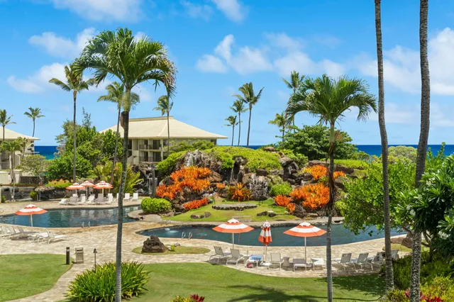 a view of a palm trees