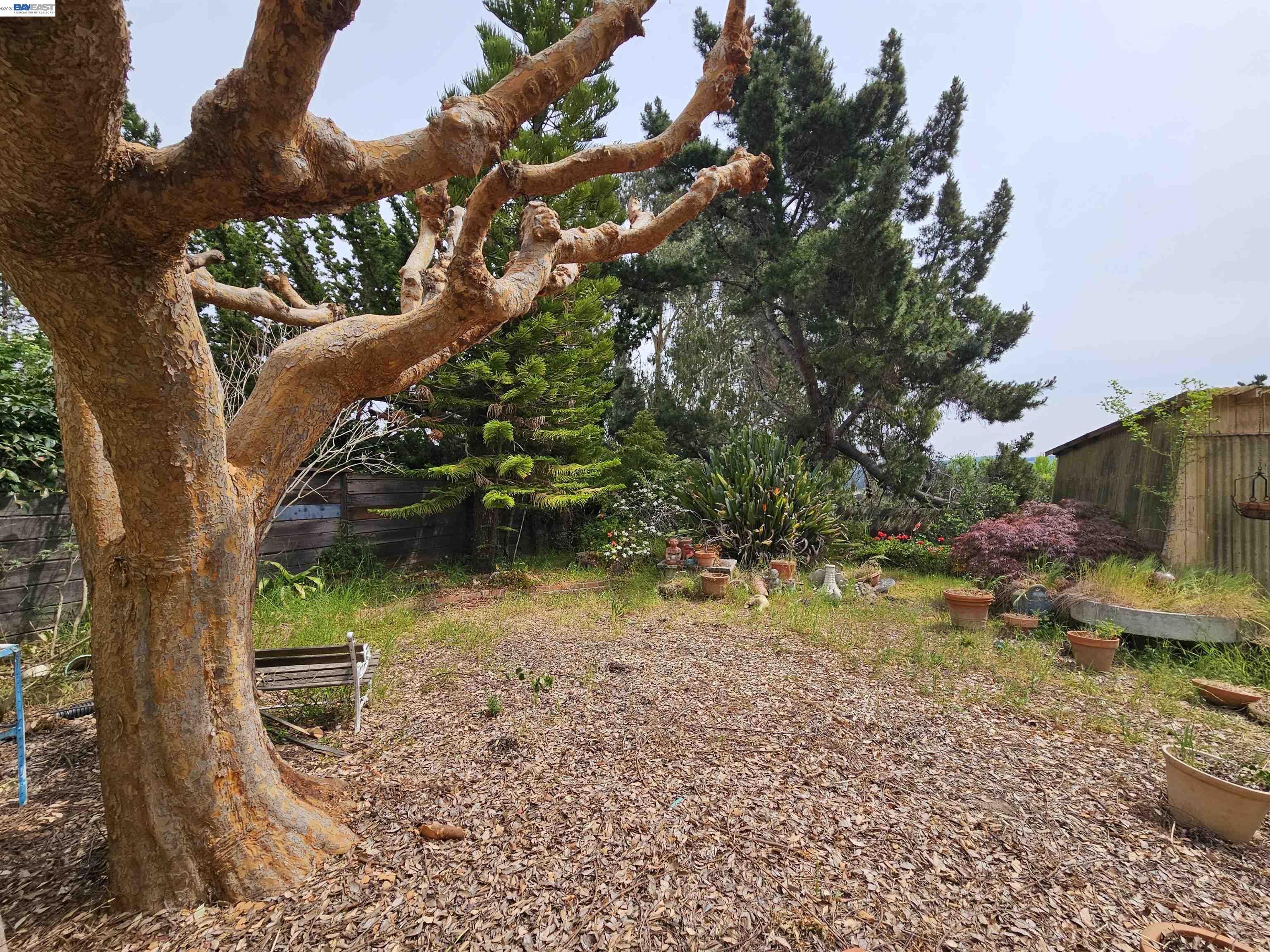 18758 Crane Avenue Castro Valley, CA 94546 - Photo 12 of 13 a view of a yard