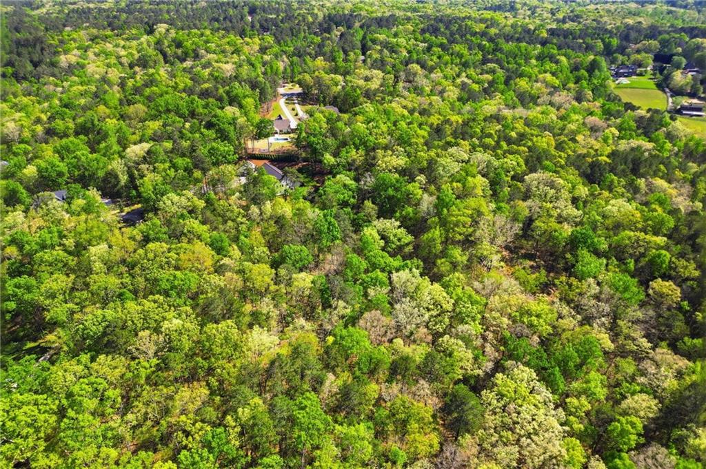 498 Old Mount Carmel Road Canton, GA 30114 - Photo 76 of 78