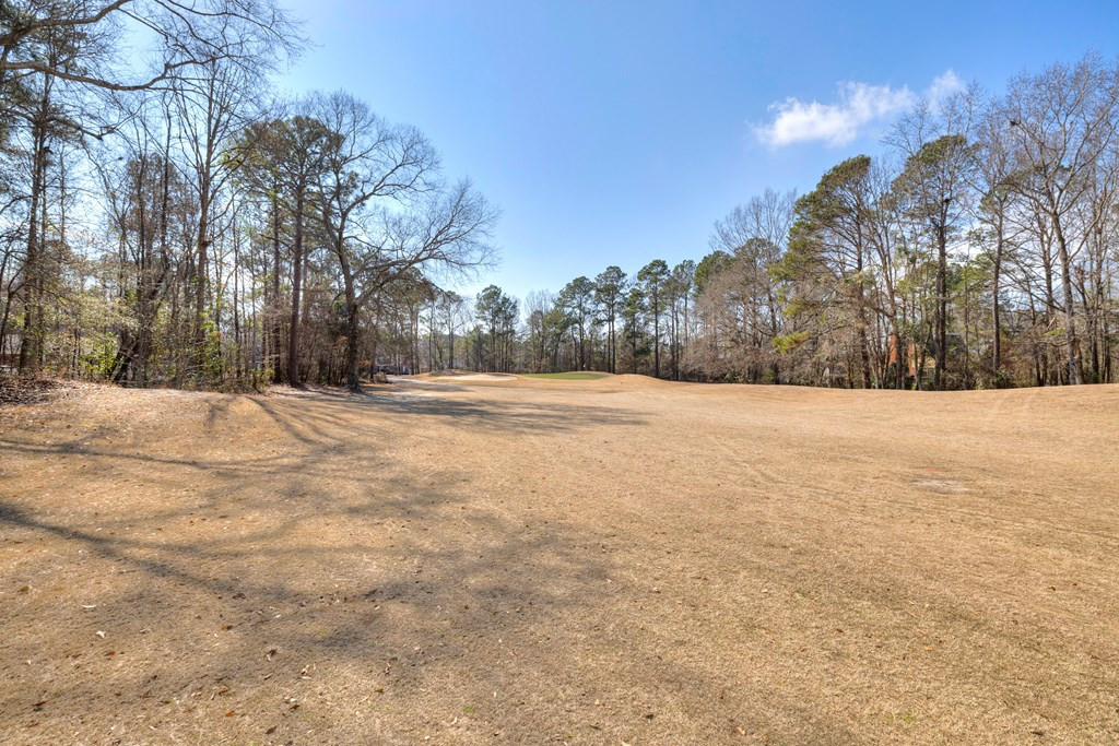 45 Killarney Lane Sumter, SC 29150 - Photo 18 of 68 Gallery Image 18