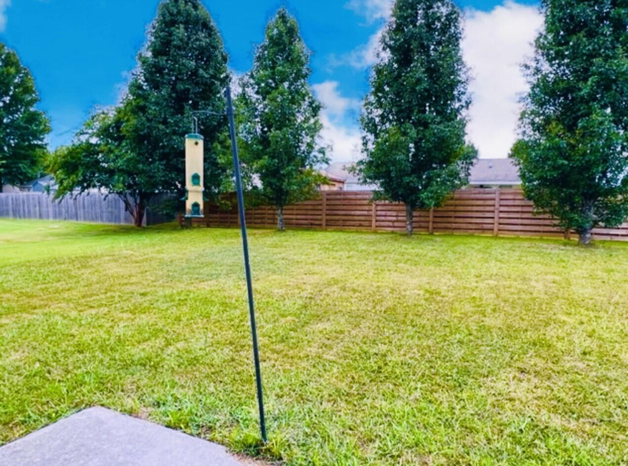 7500 Gary White Road Corryton, TN 37721 - Photo 11 of 35 Gary White Back Yard 3