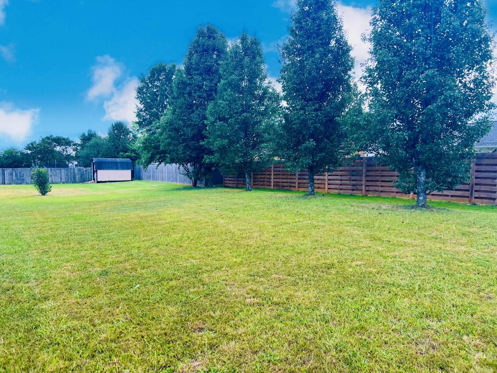 7500 Gary White Road Corryton, TN 37721 - Photo 12 of 35 Gary White Back Yard