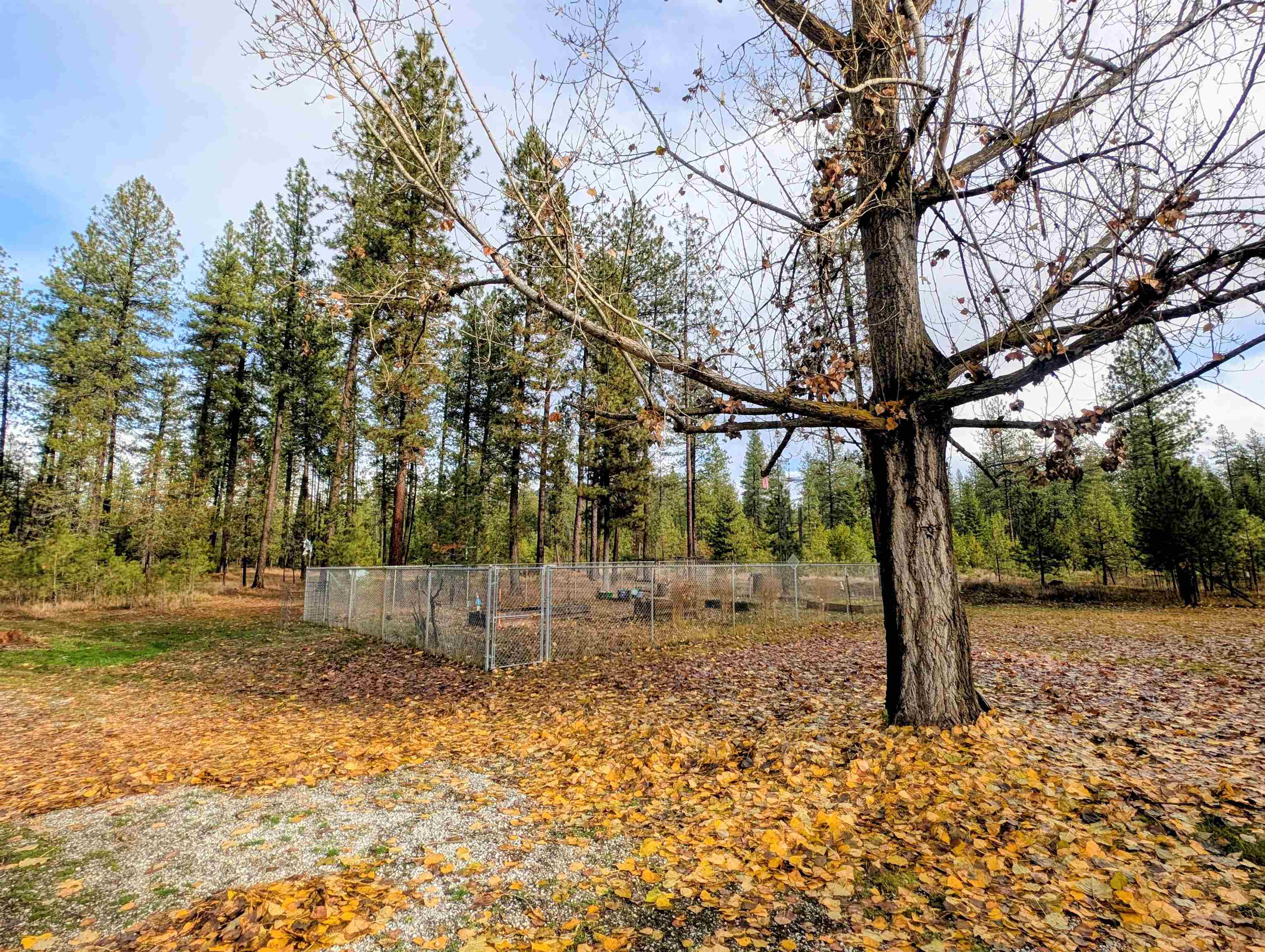 4040 Lyon And Moss Road Loon Lake, WA 99148 - Photo 25 of 49