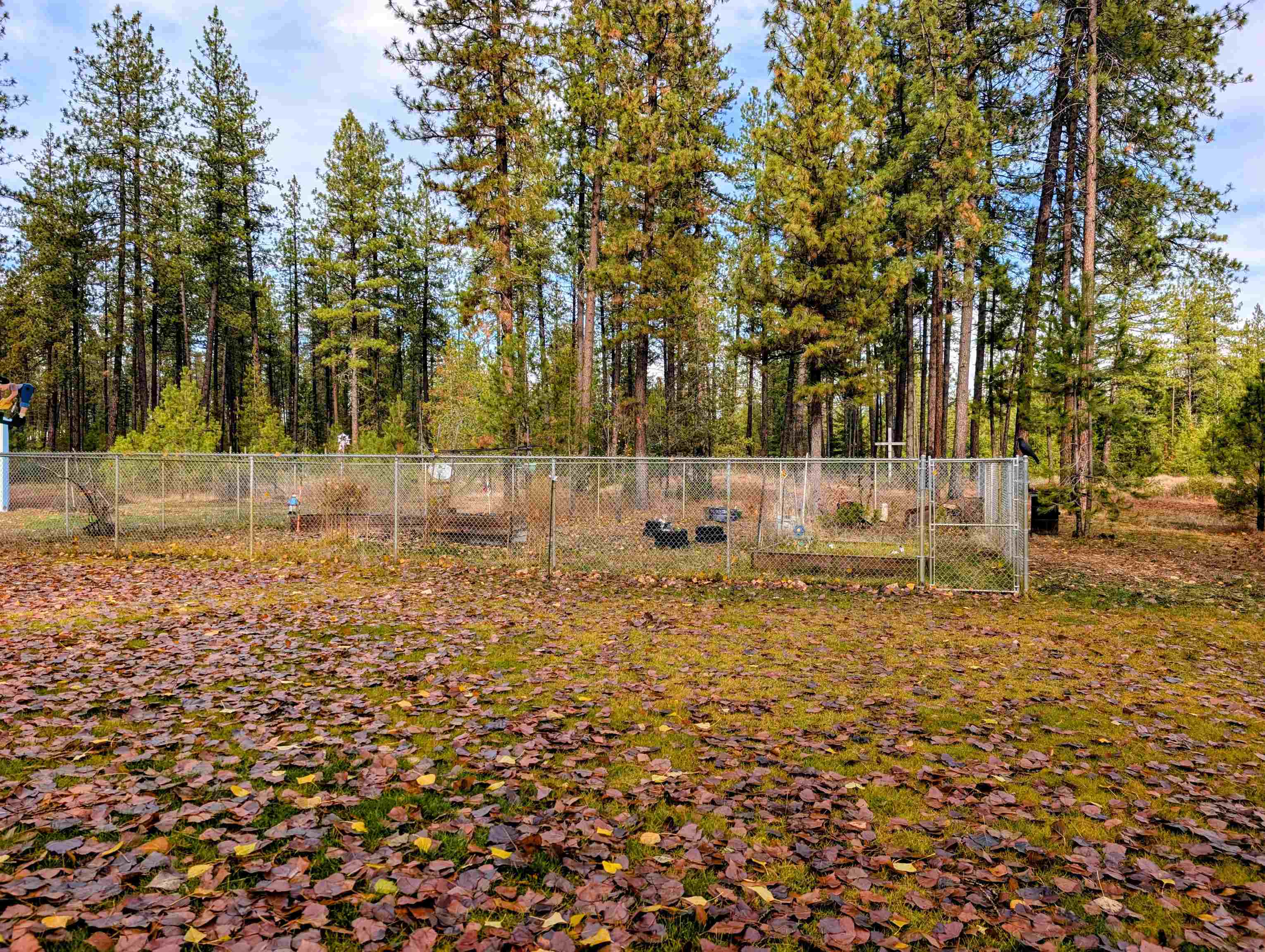 4040 Lyon And Moss Road Loon Lake, WA 99148 - Photo 32 of 49