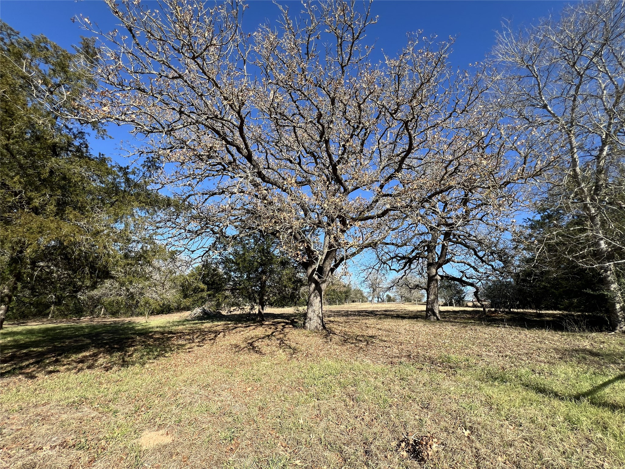 Tbd Rosanky Cattle Company Road Smithville, TX 78957 - Photo 23 of 40 a view of yard covered with snow