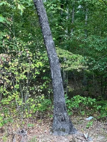 $165,000 | 16472 State Hwy C, Annapolis, MO 63620