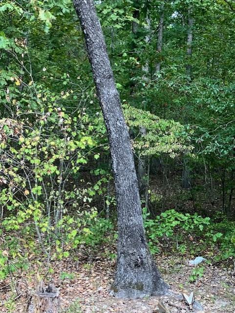 16472 State Hwy C Annapolis, MO 63620 - Photo 16 of 20