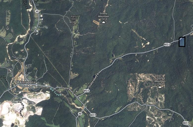 16472 State Hwy C Annapolis, MO 63620 - Photo 7 of 20