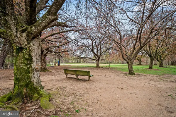 $524,999 | 2824 Maryland Avenue, Baltimore, MD 21218