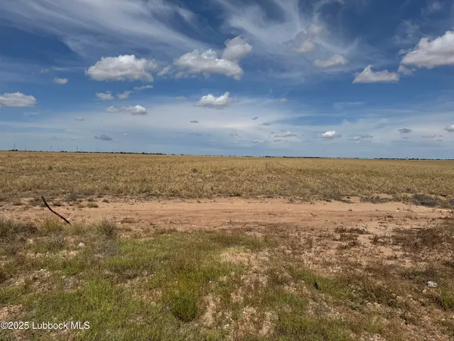 a view of an ocean beach