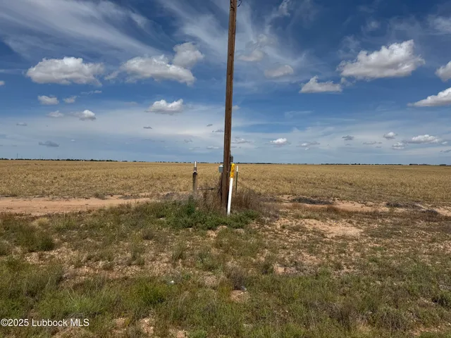 a view of an ocean beach