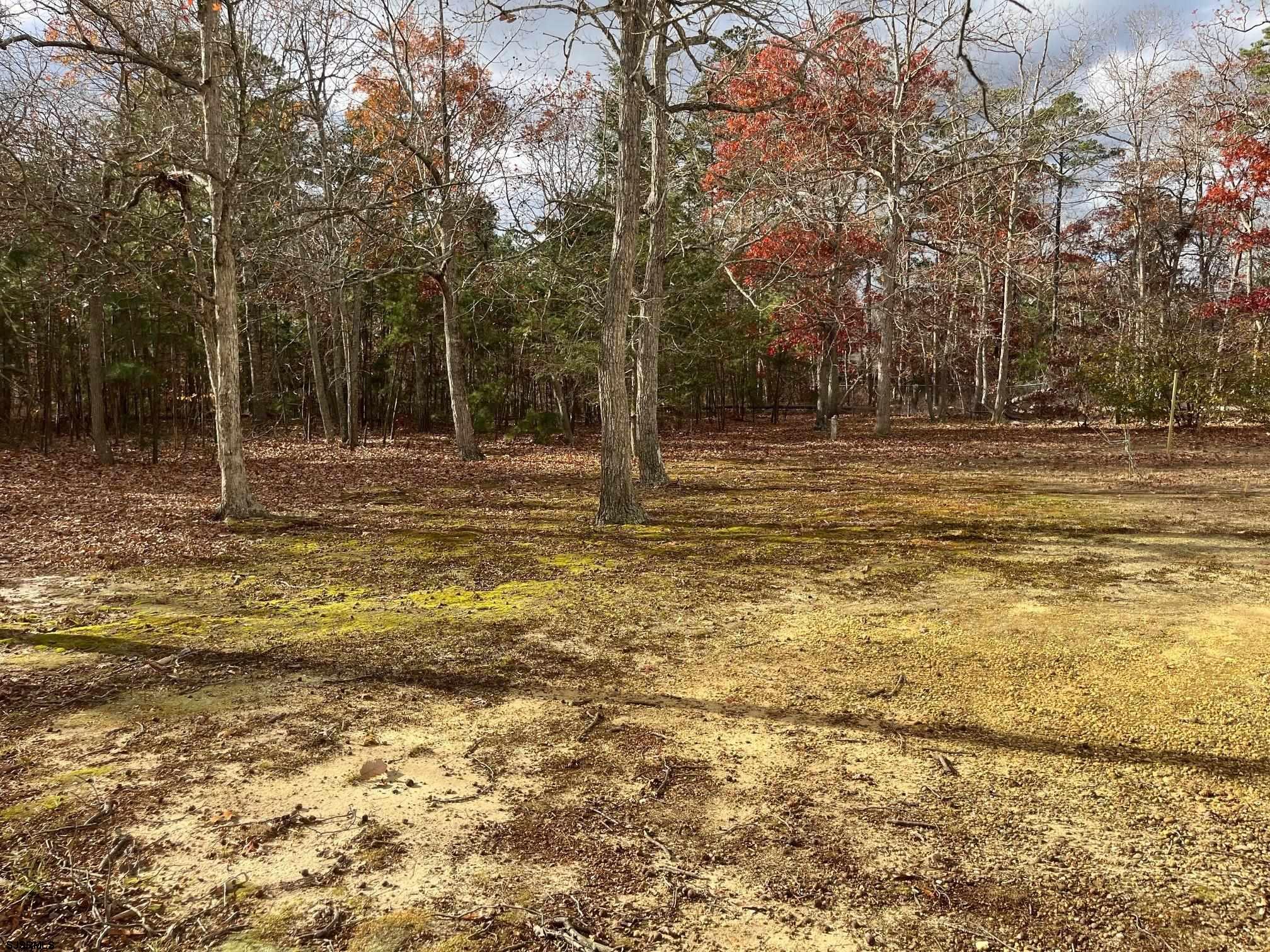 124 Butter Road Ocean View, NJ 08230 - Photo 5 of 5 a swimming pool with trees in the background