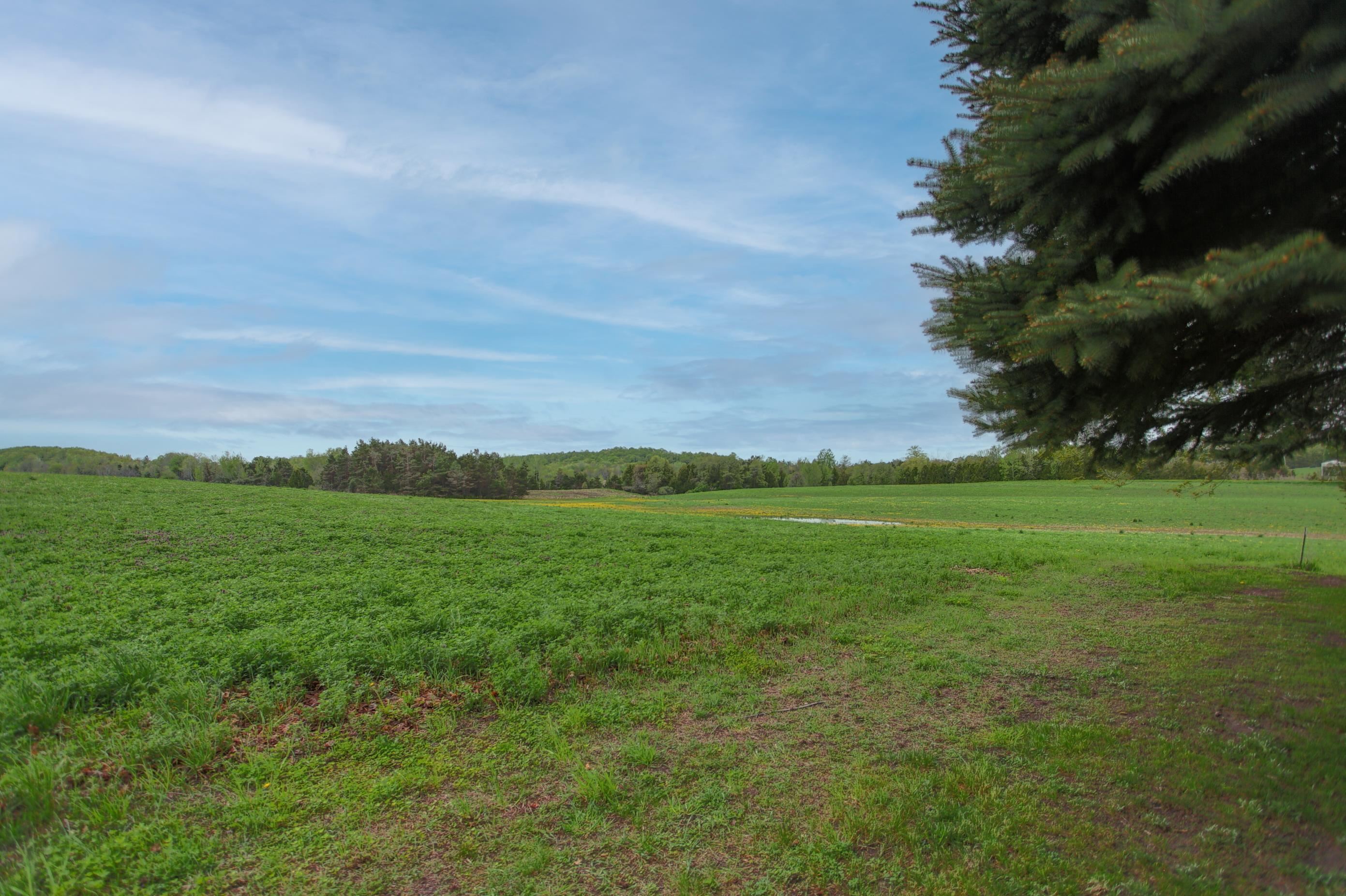 8201 Essex Road Ellsworth, MI 49729 - Photo 31 of 42
