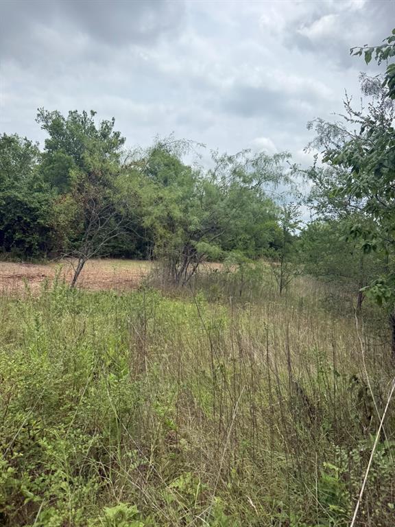 Tbd McKnight Road Ferris, TX 75125 - Photo 11 of 26