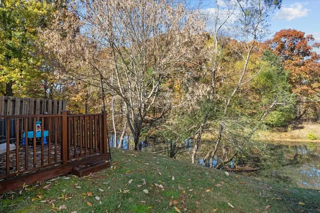 a view of backyard with green space