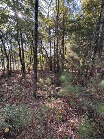 a view of outdoor space and trees