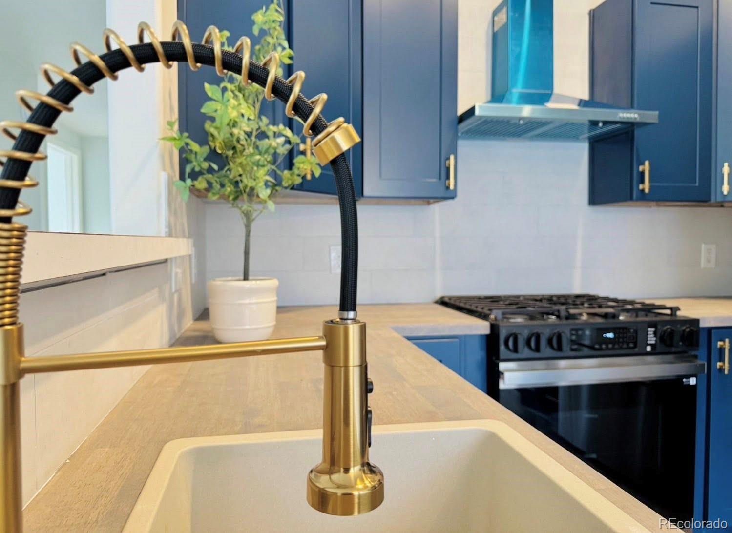 8468 South Thunder Ridge Way, Unit 202 Highlands Ranch, CO 80126 - Photo 20 of 21 a kitchen with a sink and a stove