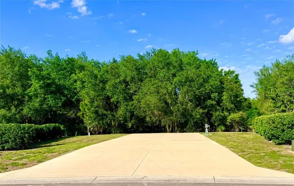 a view of a yard