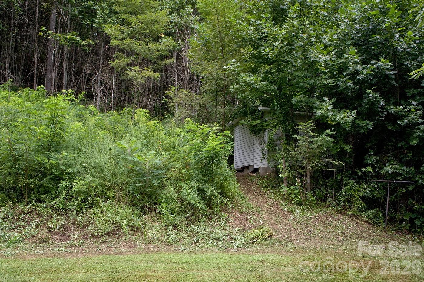 165 Peepeye Cove Road Leicester, NC 28748 - Photo 22 of 24