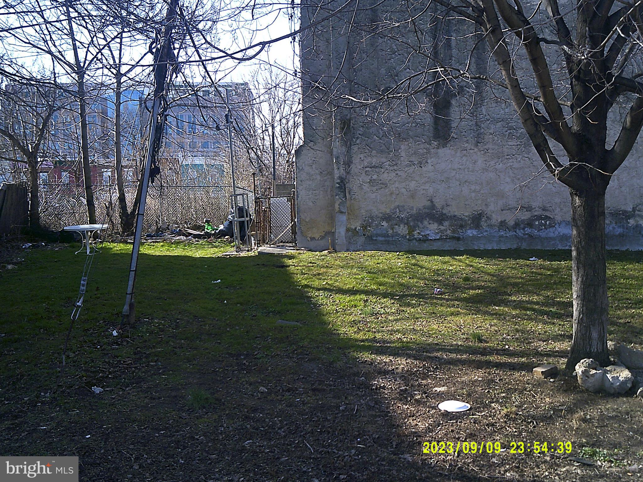 a view of a backyard with large trees