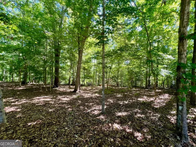 $21,000 | 0 Creekwood Court, Sandersville, GA 31082