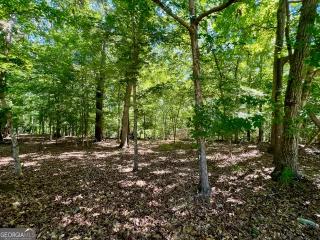 $21,000 | 0 Creekwood Court, Sandersville, GA 31082