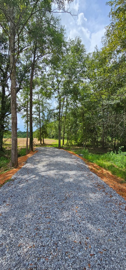 L1 New Hinson Road Slocomb, AL 36375 - Photo 23 of 30