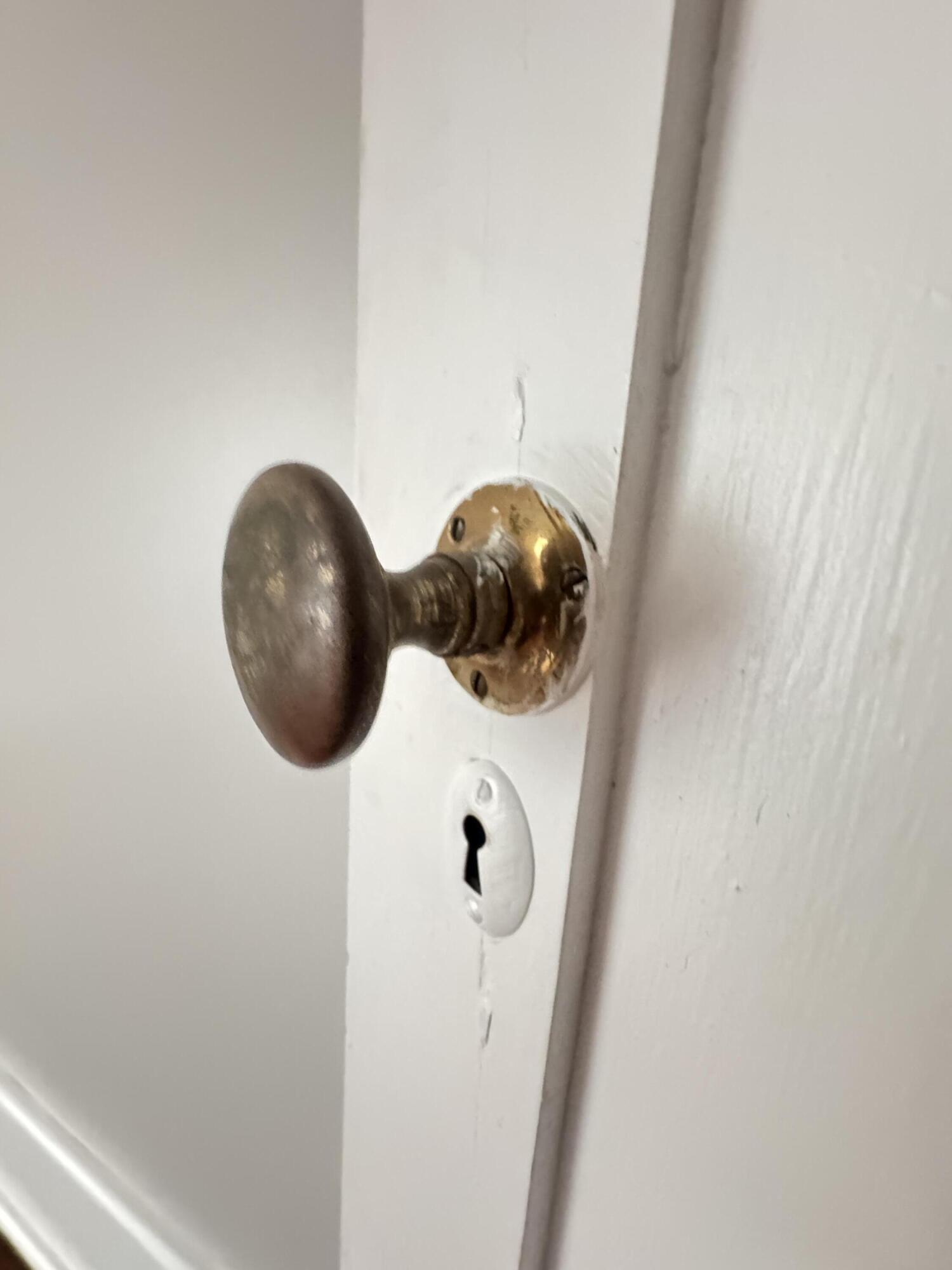 303 Warren Street Walterboro, SC 29488 - Photo 132 of 142 303 Warren Street