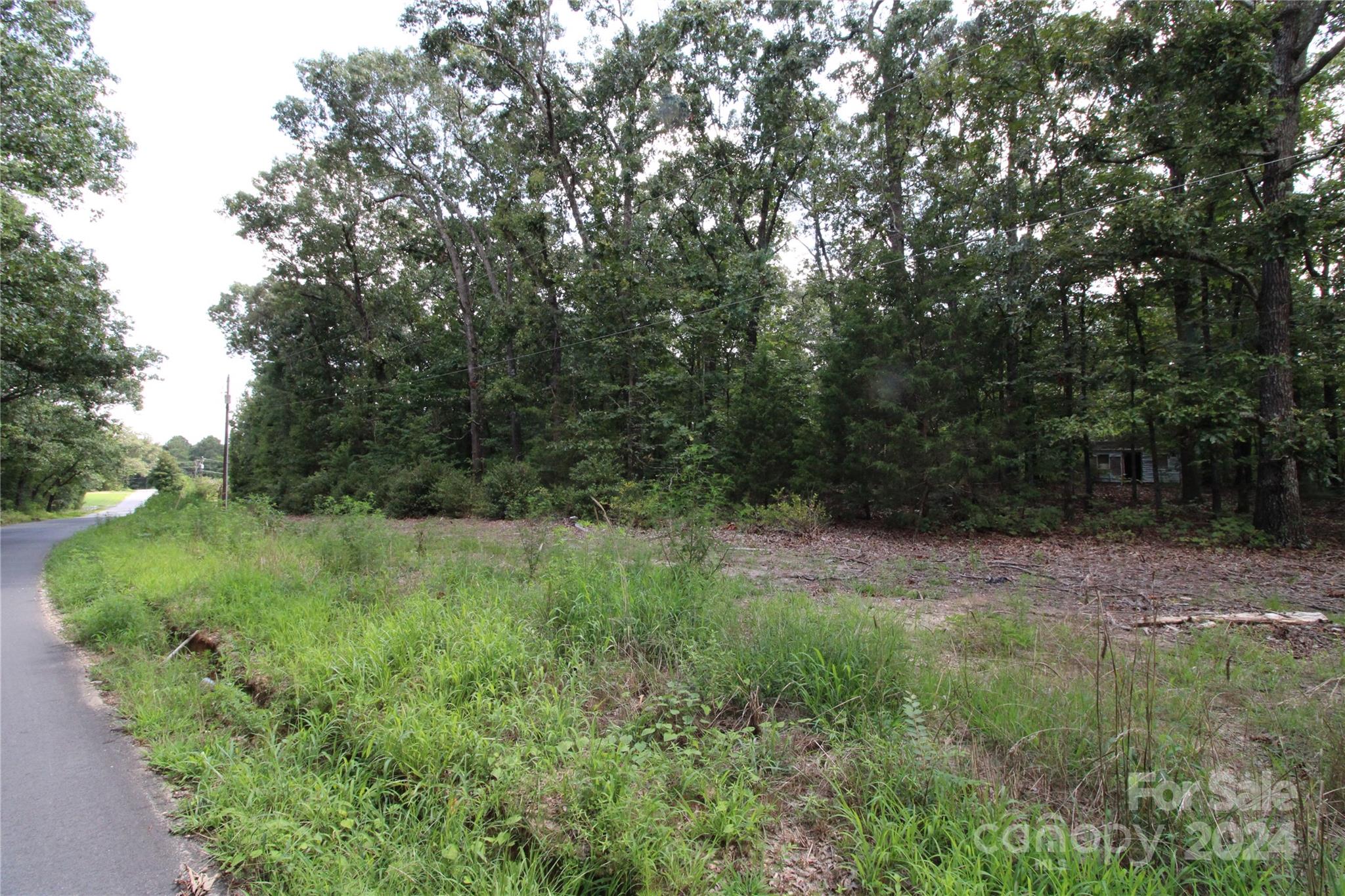 2075 Connor Road Chester, SC 29706 - Photo 1 of 13 a big yard with lots of green space and deers