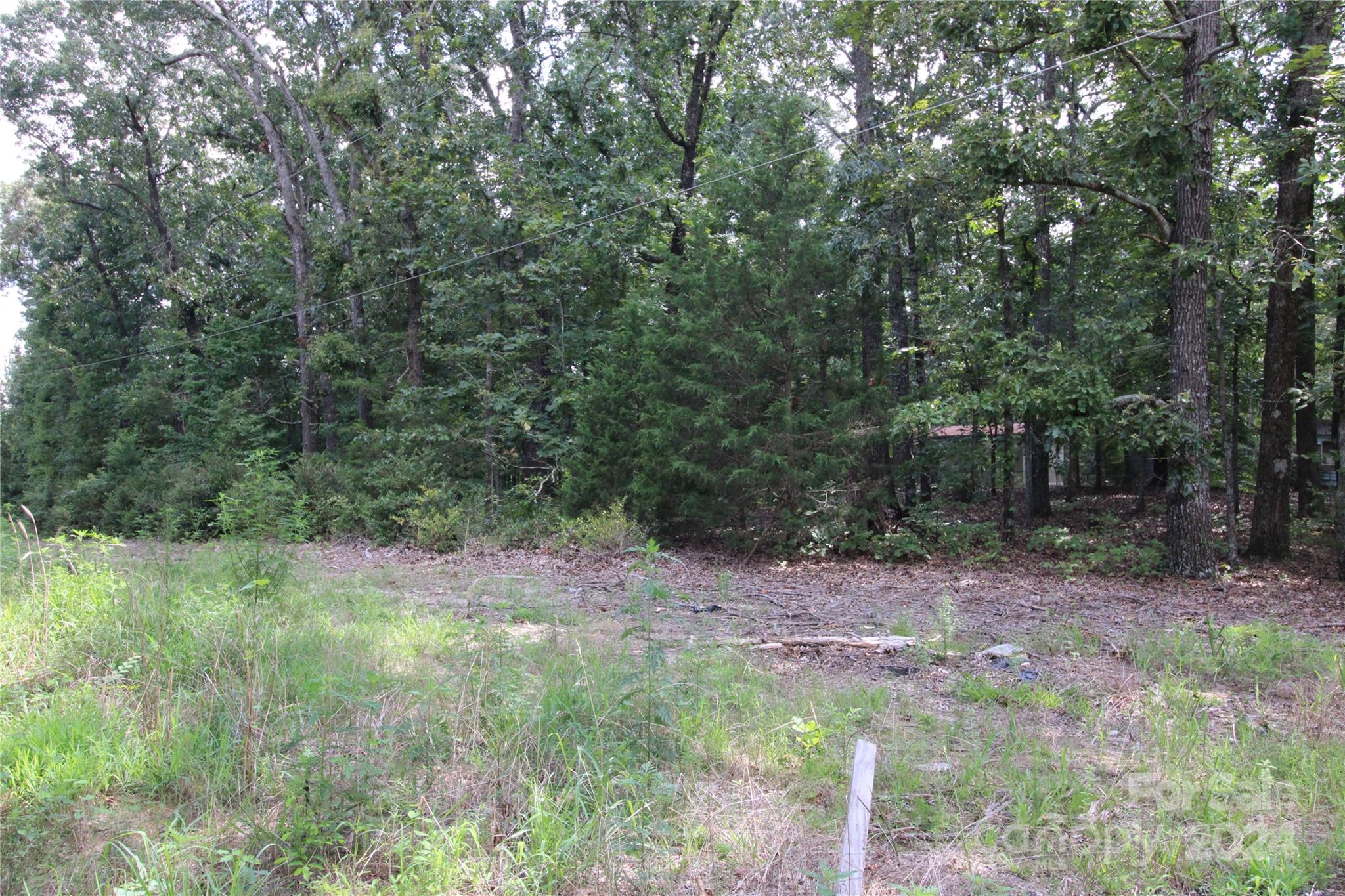 2075 Connor Road Chester, SC 29706 - Photo 3 of 13 a view of a forest with trees in the background