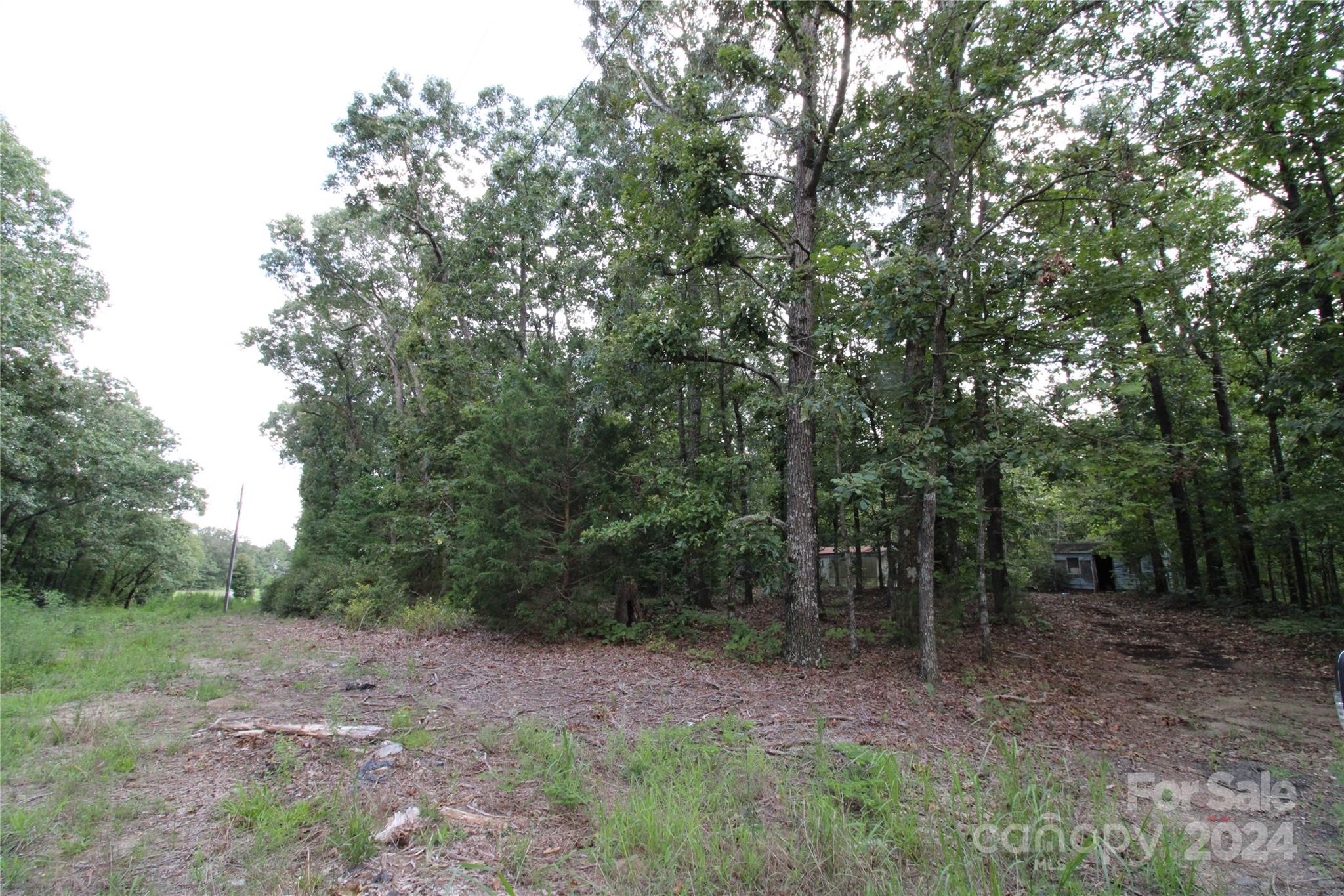 2075 Connor Road Chester, SC 29706 - Photo 4 of 13 a big yard with lots of green space and deers