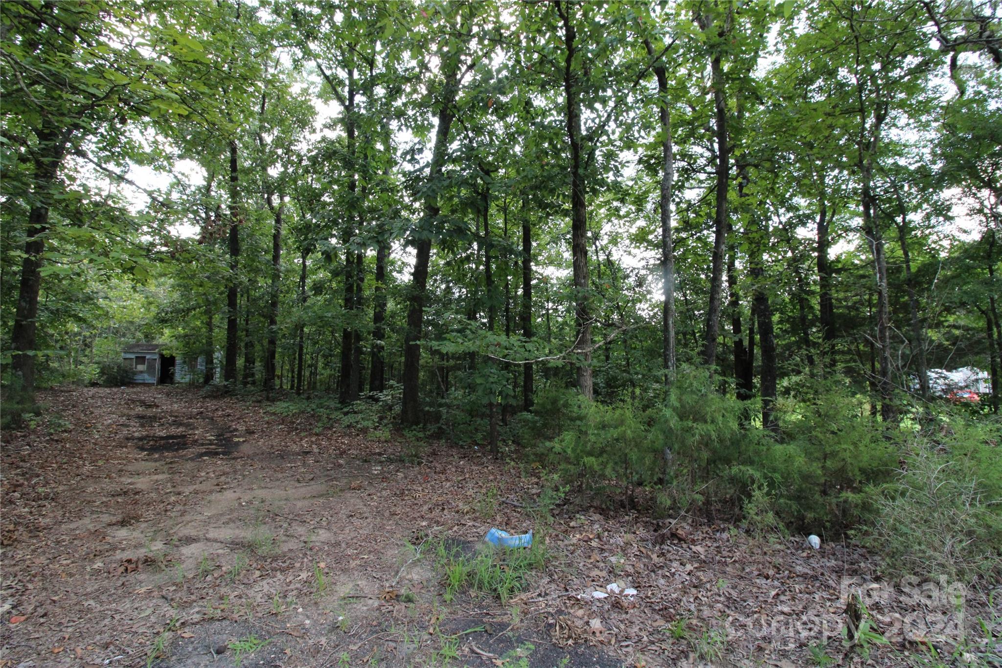 2075 Connor Road Chester, SC 29706 - Photo 5 of 13 a view of a forest with trees in the background