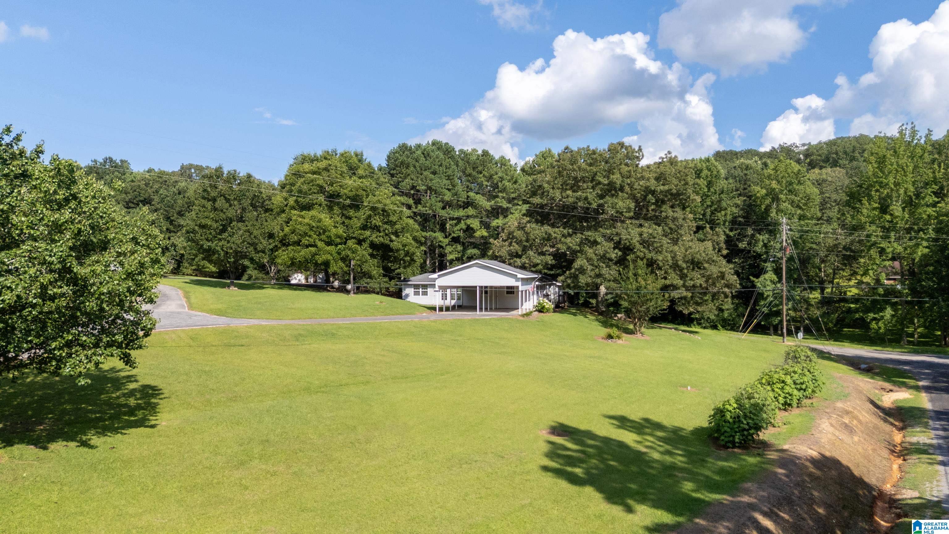 3934 Red Valley Road Remlap, AL 35133 - Photo 44 of 47