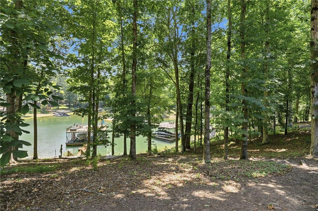 6029 Shadburn Ferry Road Buford, GA 30518 - Photo 64 of 75
